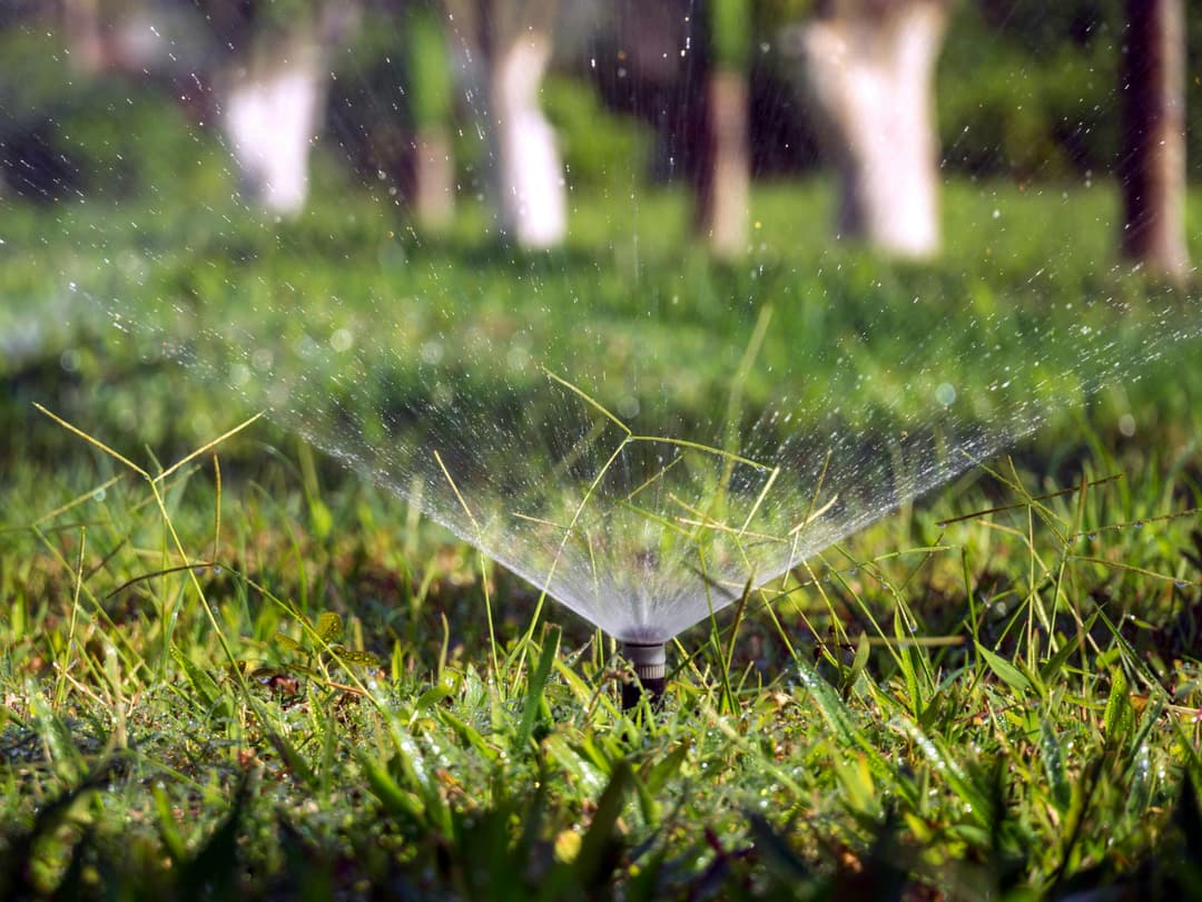 Spring sprinkler startup