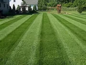 Lawn Care
